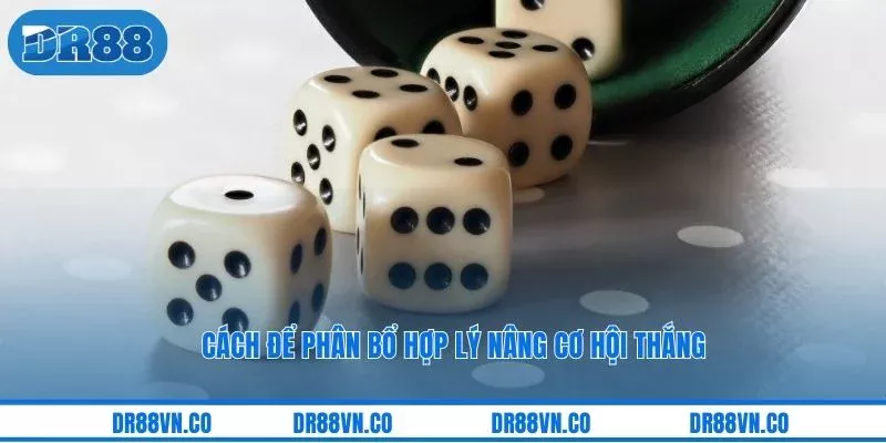 Cách để phân bổ hợp lý nâng cơ hội thắng Cách để phân bổ hợp lý nâng cơ hội thắng