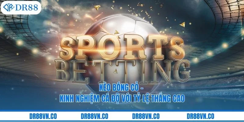 Kèo Bóng Cỏ – Kinh Nghiệm Cá Độ Với Tỷ Lệ Thắng Cao