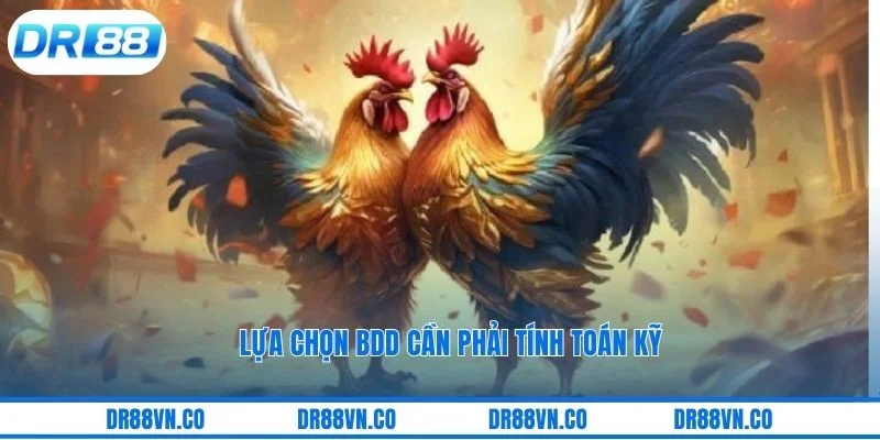 Lựa chọn BDD cần phải tính toán kỹ