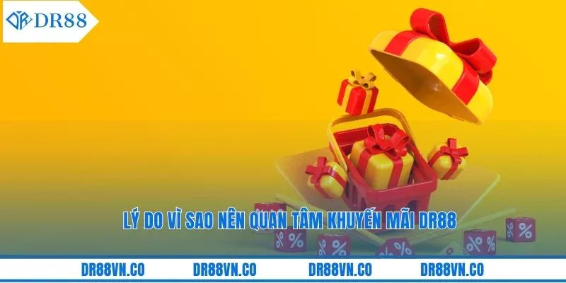 Lý do vì sao nên quan tâm khuyến mãi DR88