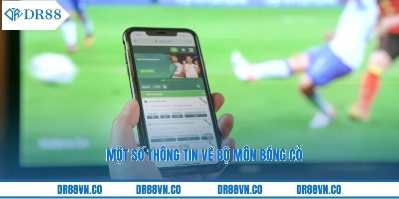 Một số thông tin về bộ môn bóng cỏ