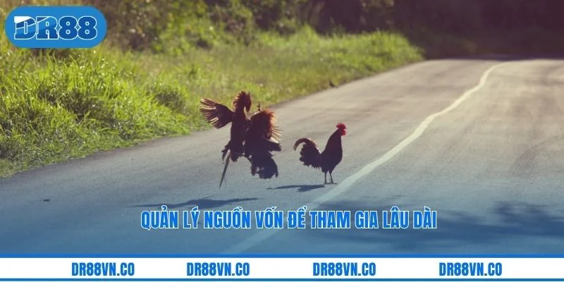 Quản lý nguồn vốn để tham gia lâu dài