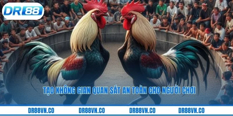 Tạo không gian quan sát an toàn cho người chơi