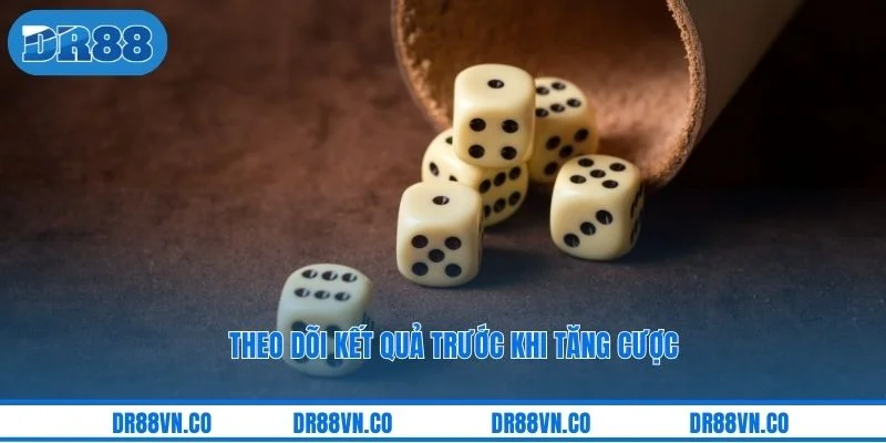 Theo dõi kết quả trước khi tăng cược