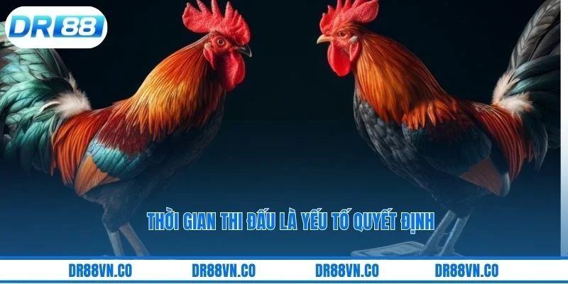 Thời gian thi đấu là yếu tố quyết định