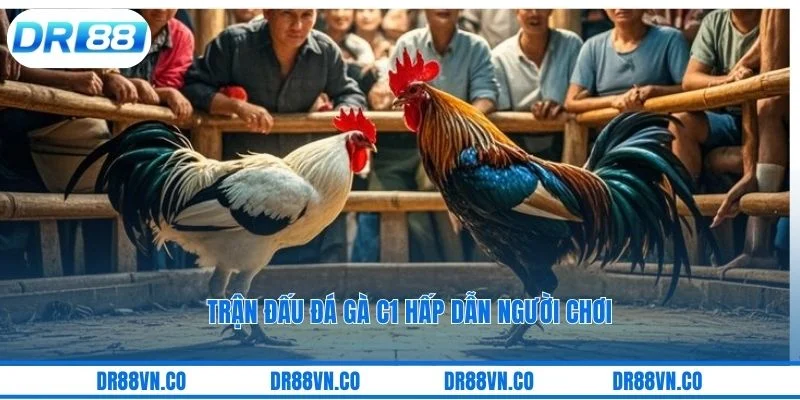 Trận đấu đá gà C1 hấp dẫn người chơi