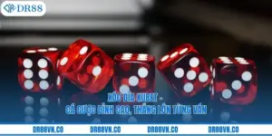 Xóc Đĩa Kubet - Cá Cược Đỉnh Cao, Thắng Lớn Từng Ván